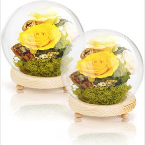 PUMTUS 2 PACK CLEAR CLOCHE GLASS DOME, GLASS DISPLAY SHOWCASE WITH WOODEN BASE, DECORATIVE KEEPSAKE DISPLAY GLOBE CASE FOR FLOWER,