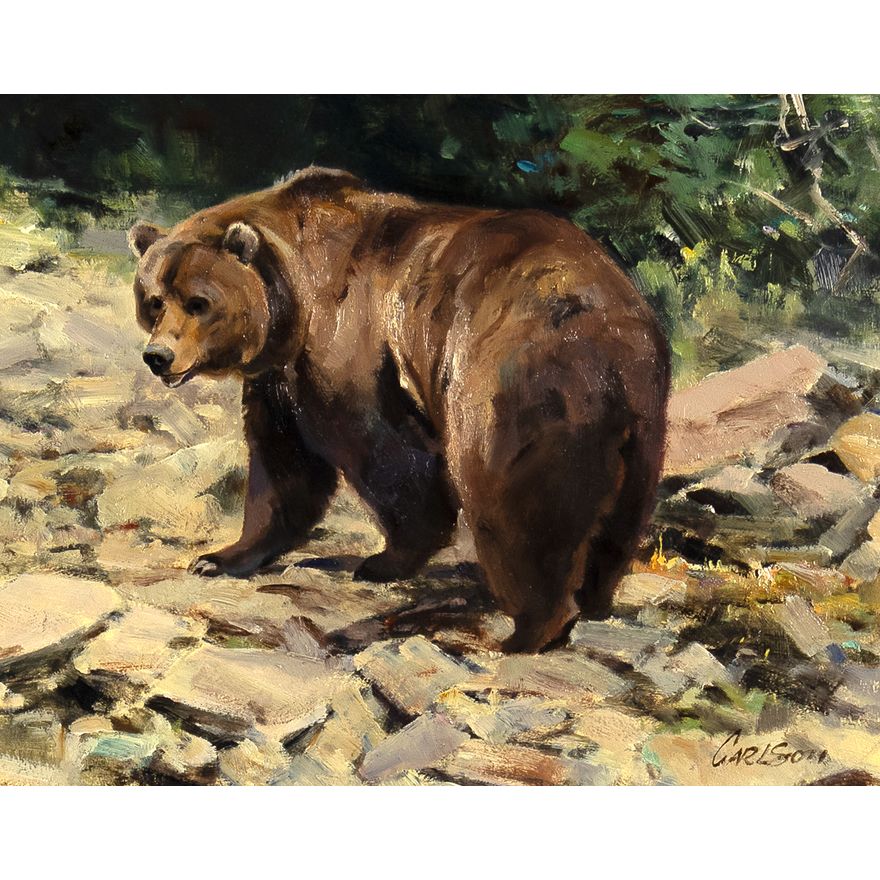 Ken Carlson (1937- ): Grizzly Bear