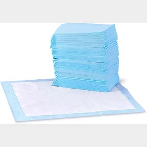 REGULAR (150 COUNT) AMAZON BASICS DOG AND PUPPY PEE PADS WITH LEAK-PROOF QUICK-DRY DESIGN FOR POTTY TRAINING, STANDARD ABSORBENCY,