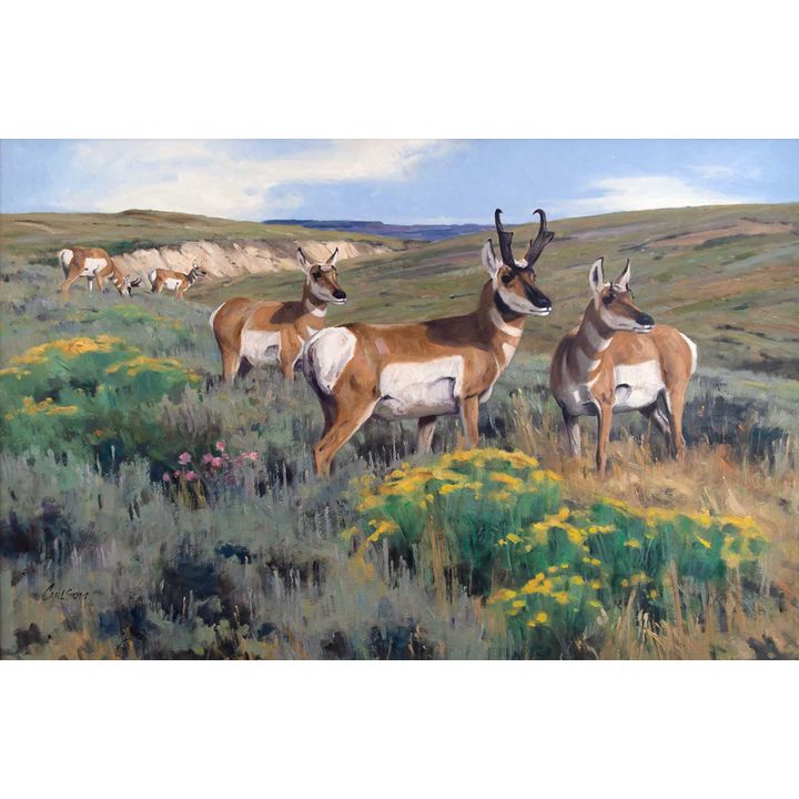 Pronghorn by Ken Carlson (1937- )