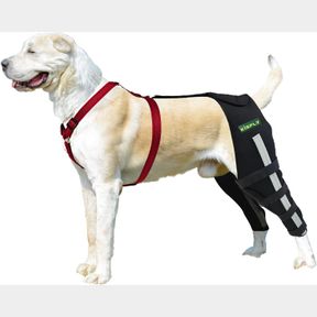 XL DOG KNEE BRACES FOR BACK LEG LUXATING PATELLA DYSPLASIA MUSCLE SORE DOG ACL BRACE HIND LEG WITH REFLECTIVE SUPPORT STRIP BOTH L