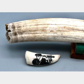 Antique Walrus Tusk and Whale's Tooth Scrimshaw
