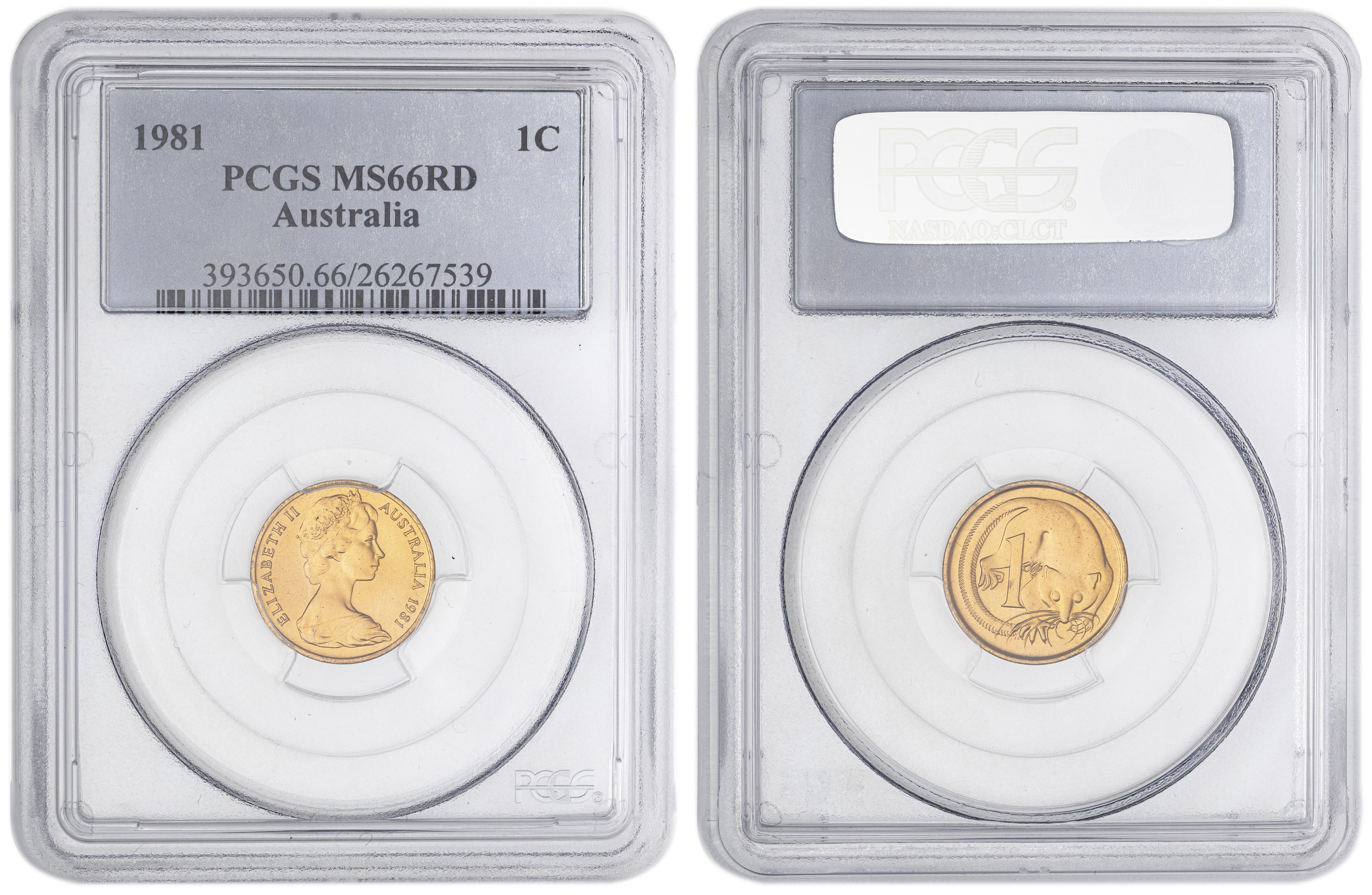 49 · One Cent, 1981, PCGS MS66RD