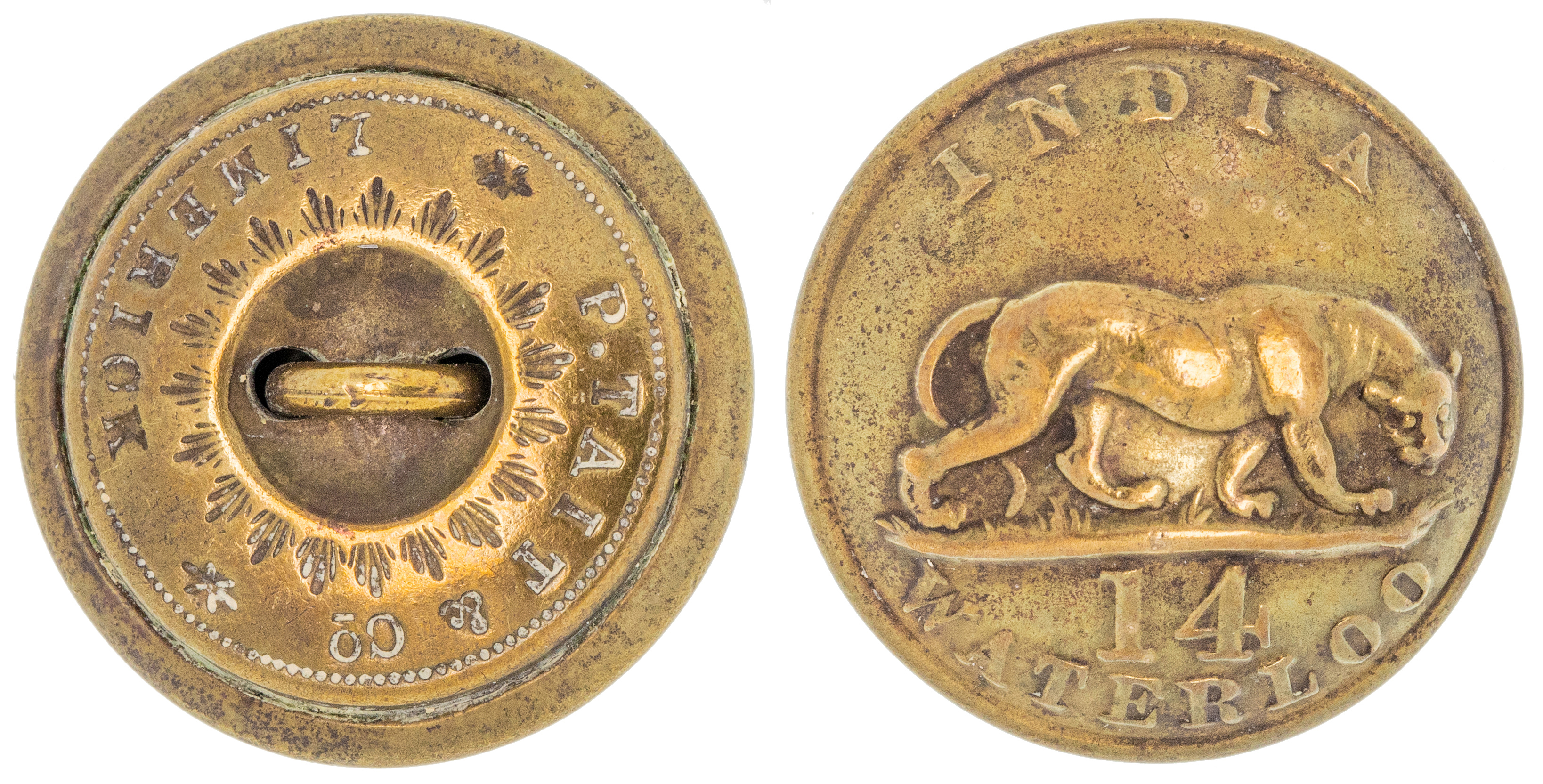 Great Britain, 14th Regiment of Foot, Tunic Button, 1853 - 1865, VGC