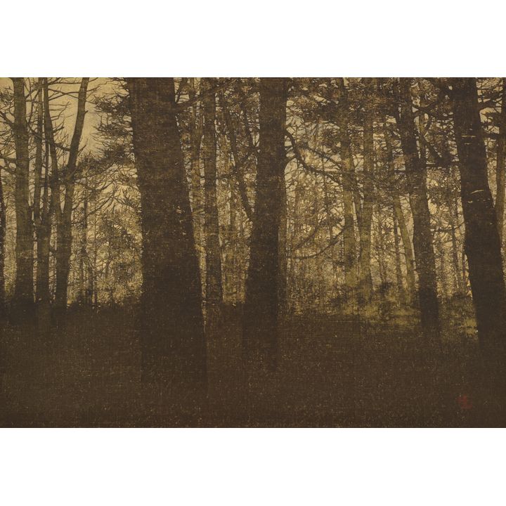 Joichi Hoshi ''In the Forest'' 1976 Woodblock