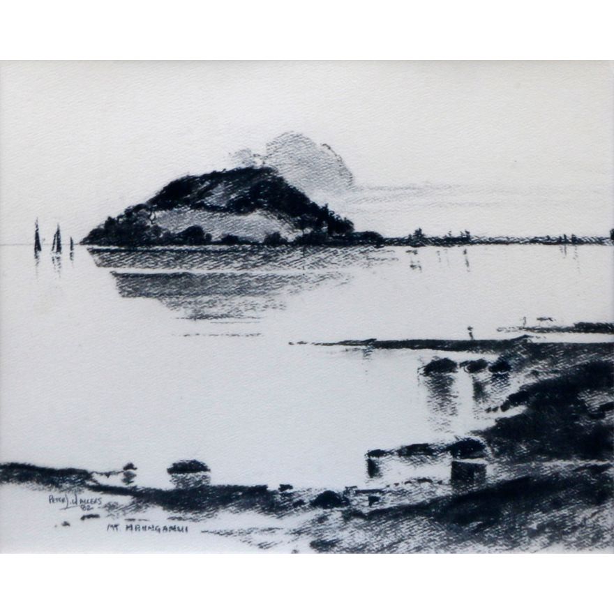 Peter Wallers 'Mt Maunganui'