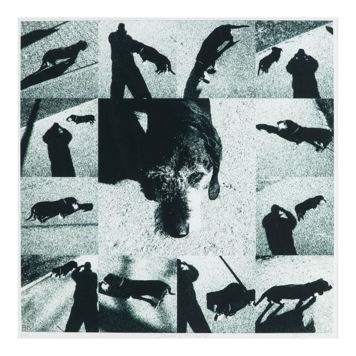 Adam Wsiołkowski | Spacer z Felkiem, 2008