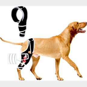 DOG KNEE BRACE FOR TORN ACL FRONT LEG, DOG KNEE BRACES WITH CRUCIATE LIGAMENT INJURIES REAR LEGS OR FRONT LEGS, DOG KNEE WRAP FOR