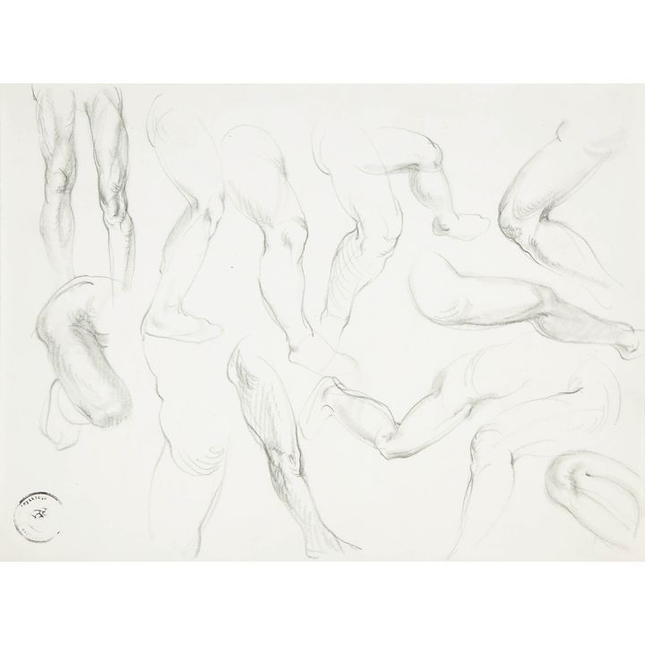Franciszek Starowieyski | Studia anatomiczne, lata 80. XX w.
