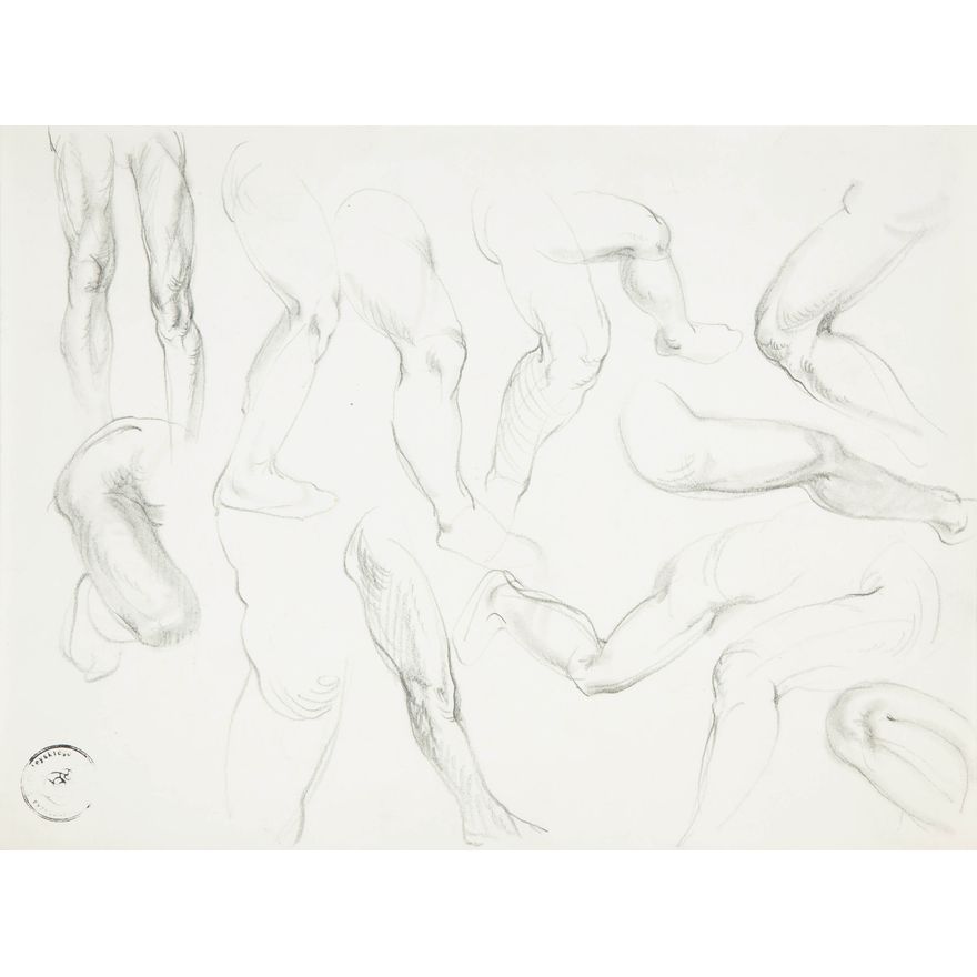 Franciszek Starowieyski | Studia anatomiczne, lata 80. XX w.