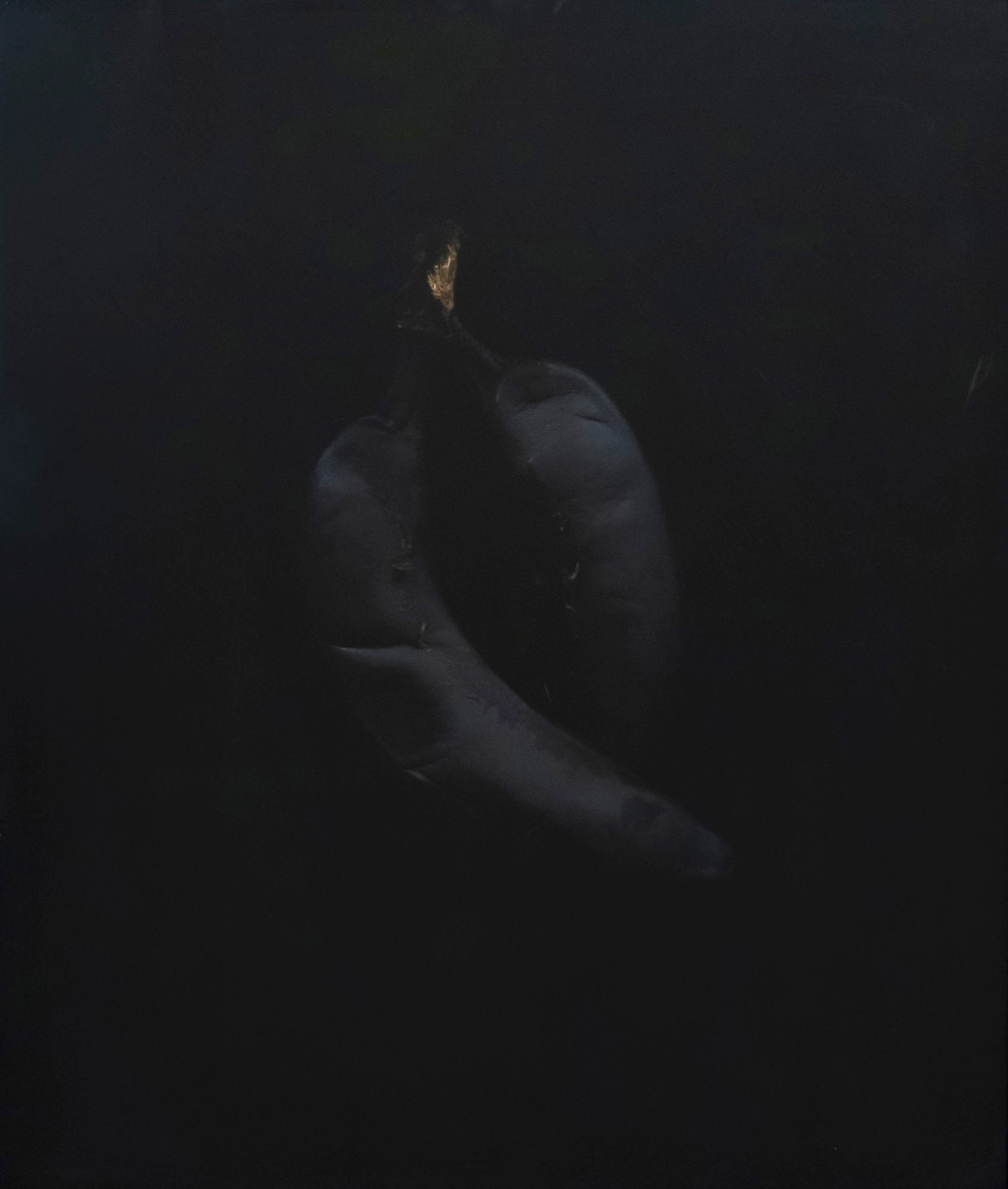 Roberta Thornley 'Pair' — sold at auction in New Zealand for $1,500