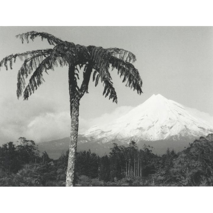 Peter Peryer 'Mt Taranaki'