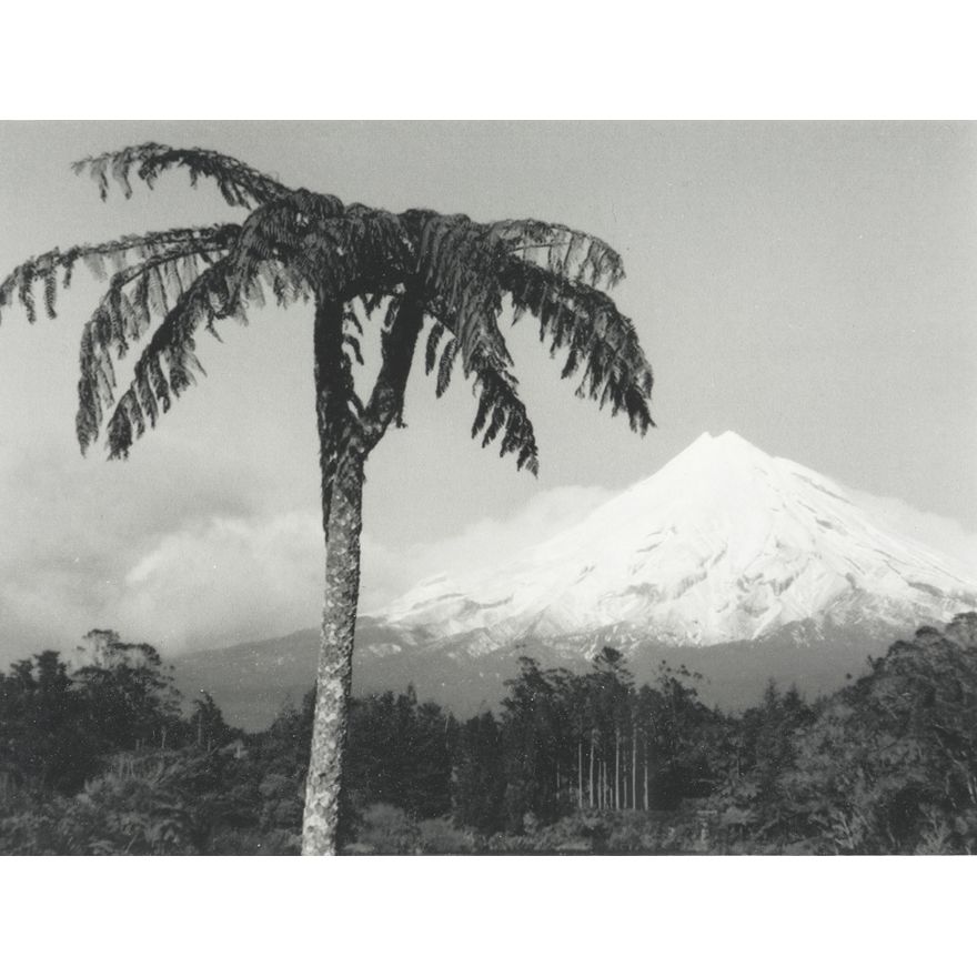 Peter Peryer 'Mt Taranaki'