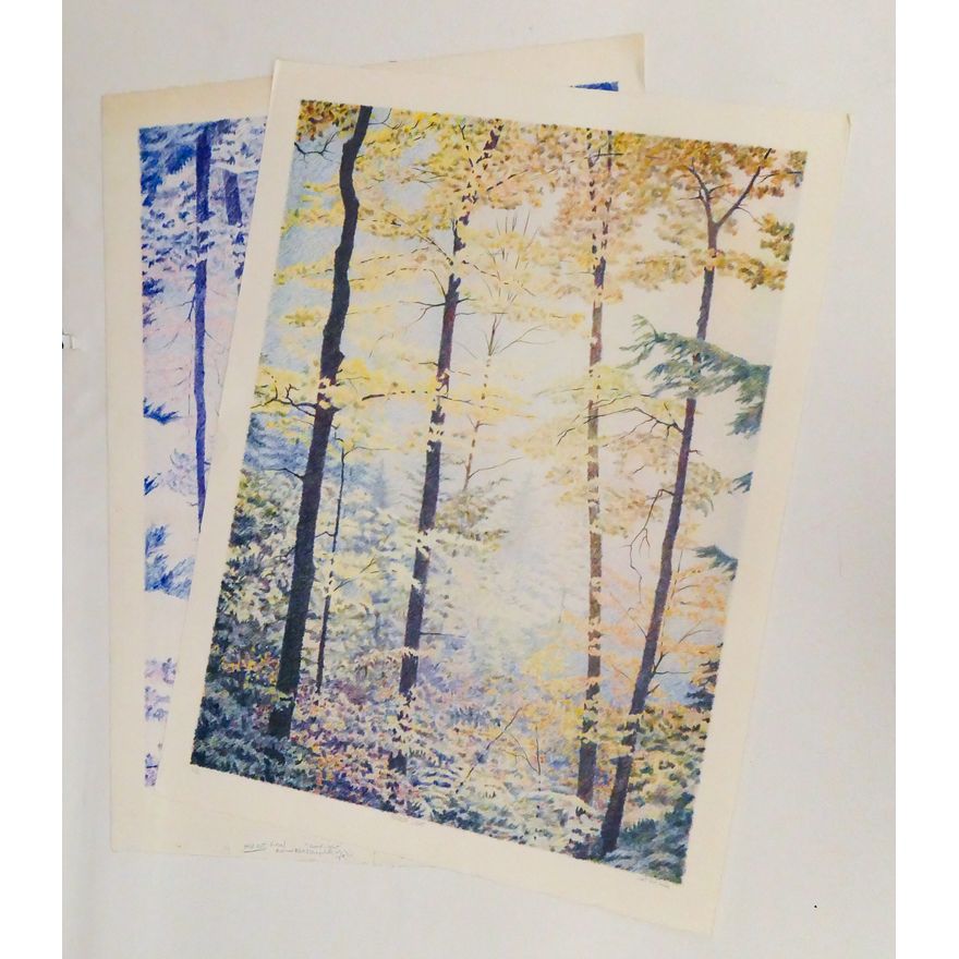 2pc Mike Pease ''Forest Light'' H.C. Test Lithographs