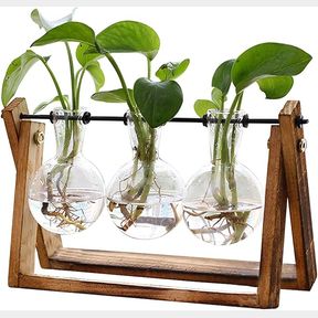XXXFLOWER Plant Terrarium with Wooden Stand, Metal Swivel Holder Tabletop for Hydroponics Home Garden Office Decoration