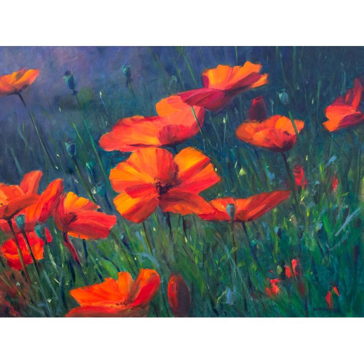 Don Parks (1943-) Tuscan Poppies