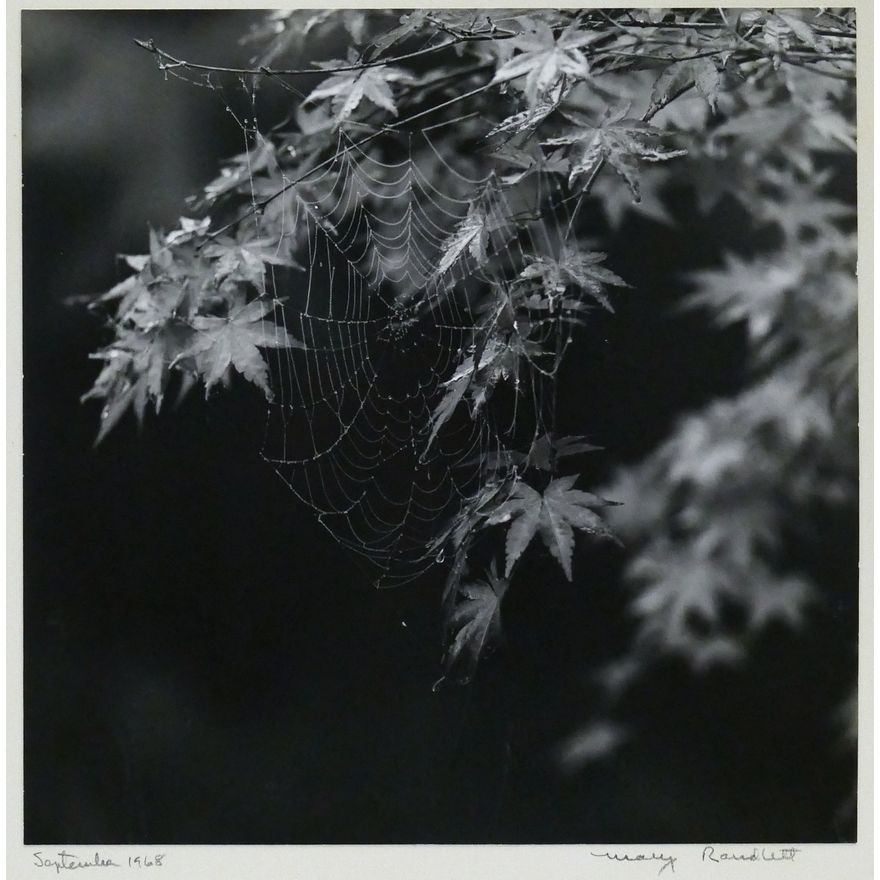 Mary Randlett ''September 1968'' (Spider Web) Photograph Mounted
