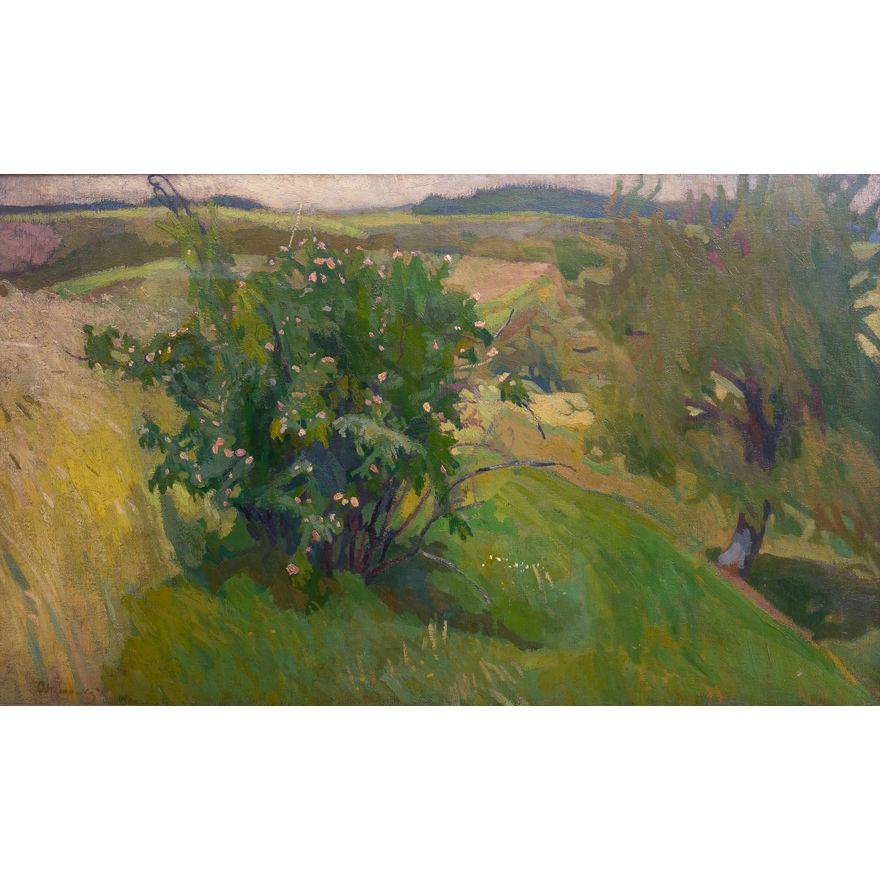 Stanisław Kamocki | Polna róża