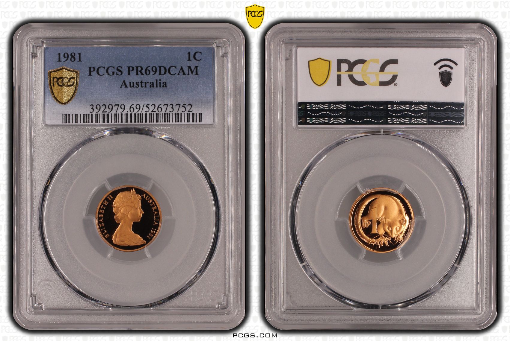One Cent, 1981, Pcgs Pr69dcam