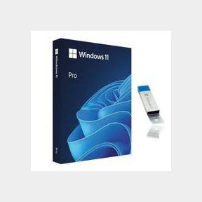 Windows 11 Professional Physical Product USB Activation|NOT TESTED