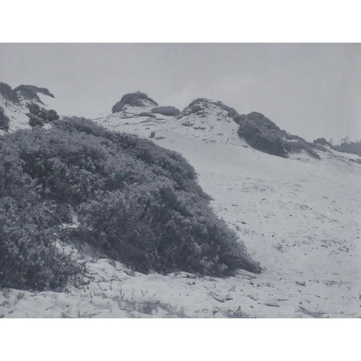 William Dassonville ''Carmel Dunes'' 1905 Platinum
