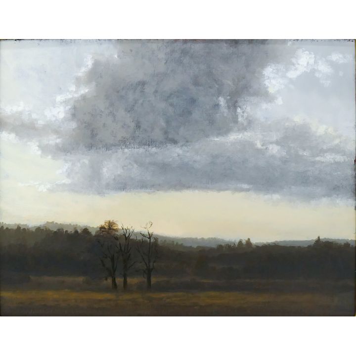 Thomas Conway ''Tomatin Reuge'' (Landscape) 2009 Oil