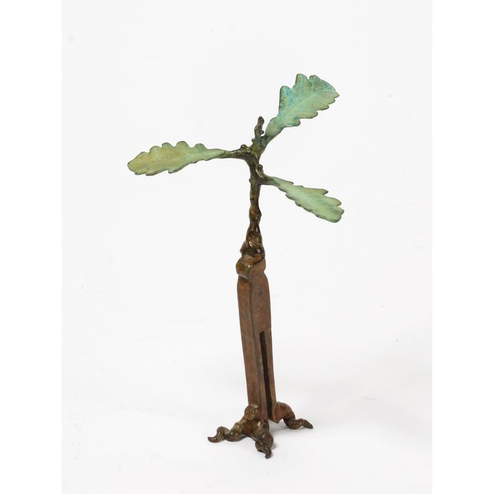 Jim Wheeler 'Oak Sprouting Clothes Peg'