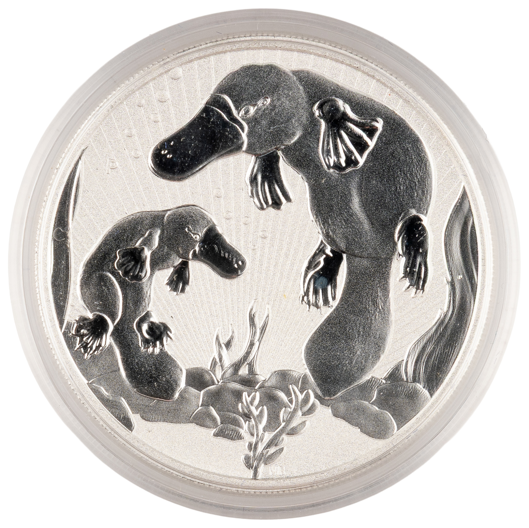 Elizabeth II, Perth Mint - Australian Platypus, Mother & Baby, Two Dollars, 2021-P, UNC