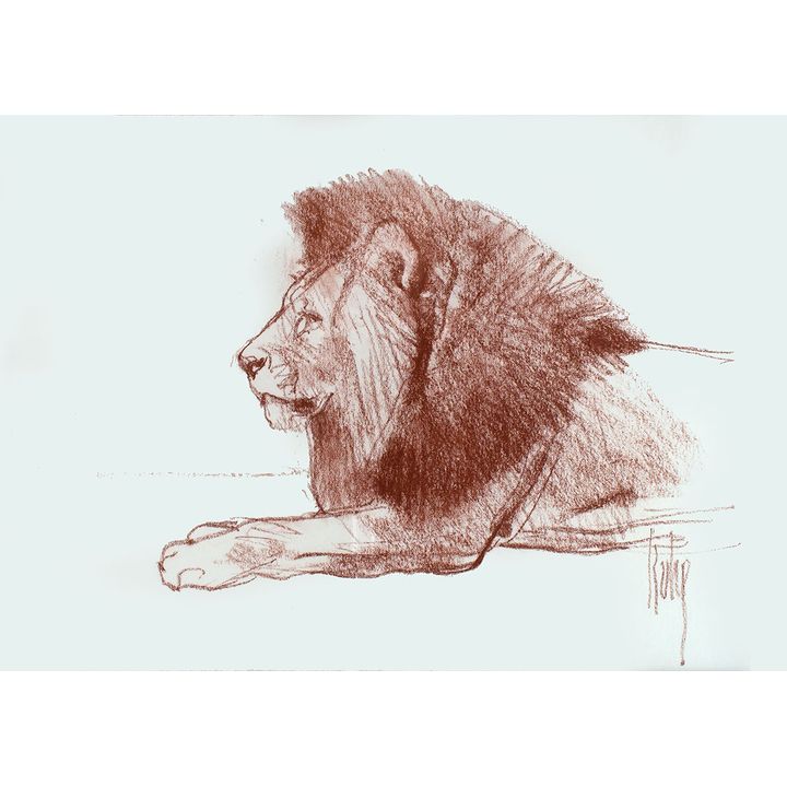 Bob Kuhn (1920-2007), Lion
