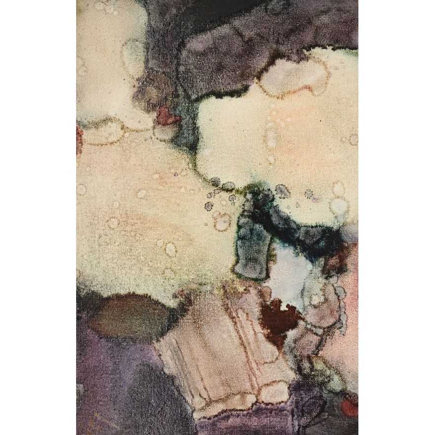 Alden Mason ''Purple Blusher'' (Burpee Garden) 1976