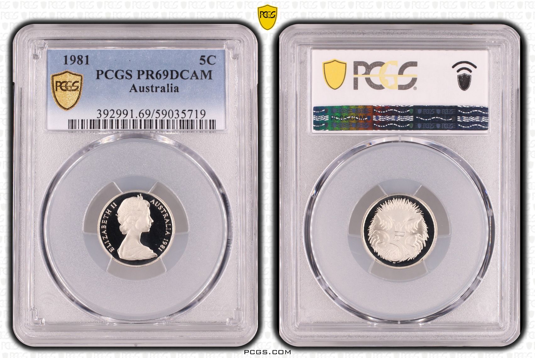 Five Cent, 1981, PCGS PR69DCAM