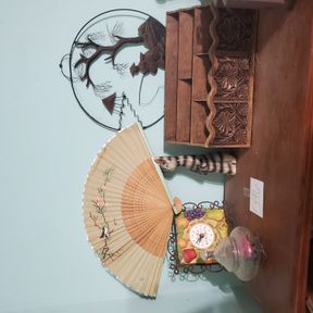 Misc decorative items on shelf top, Oreintal, cat, fan