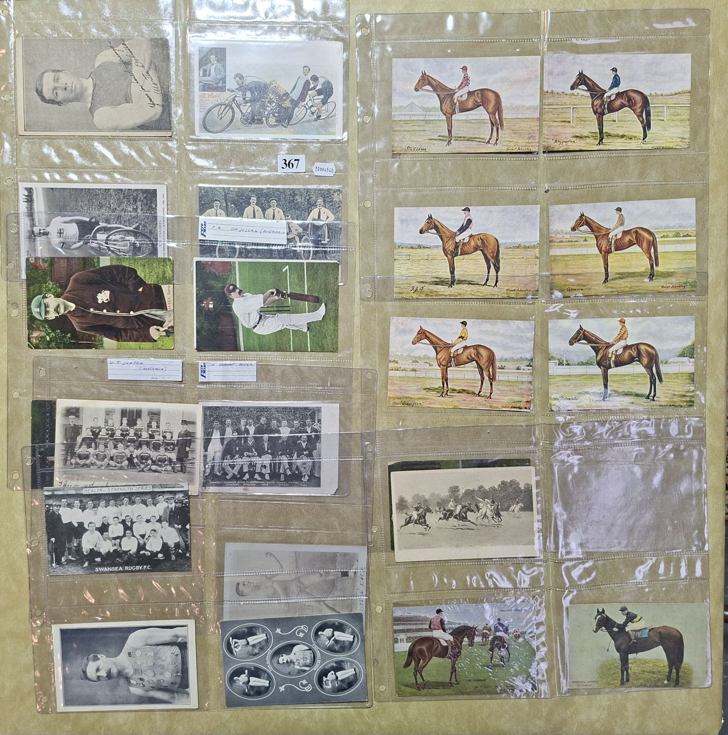 Sporting Postcards