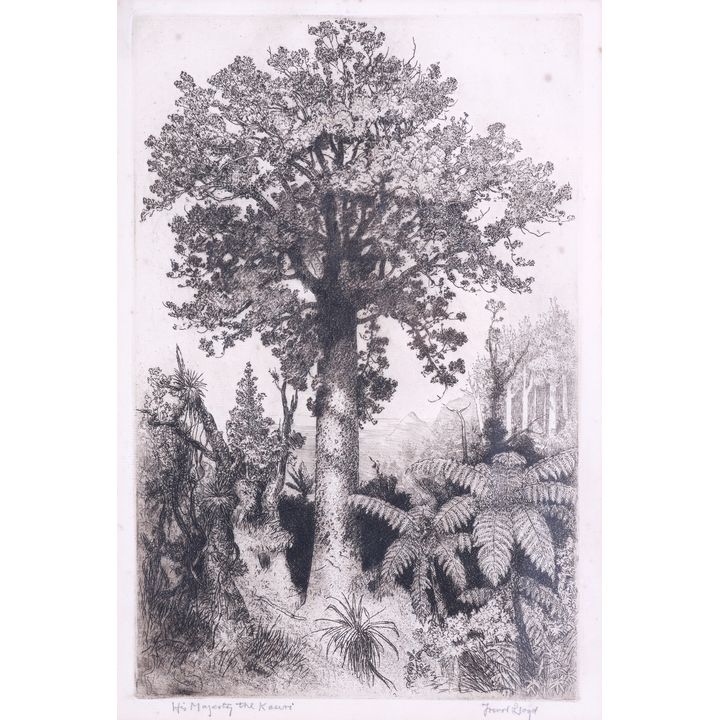 Trevor Lloyd 'His Majesty the Kauri'