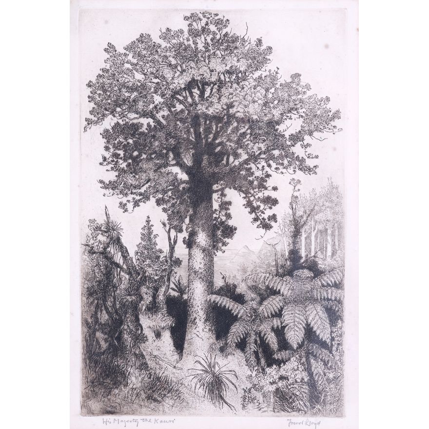 Trevor Lloyd 'His Majesty the Kauri'