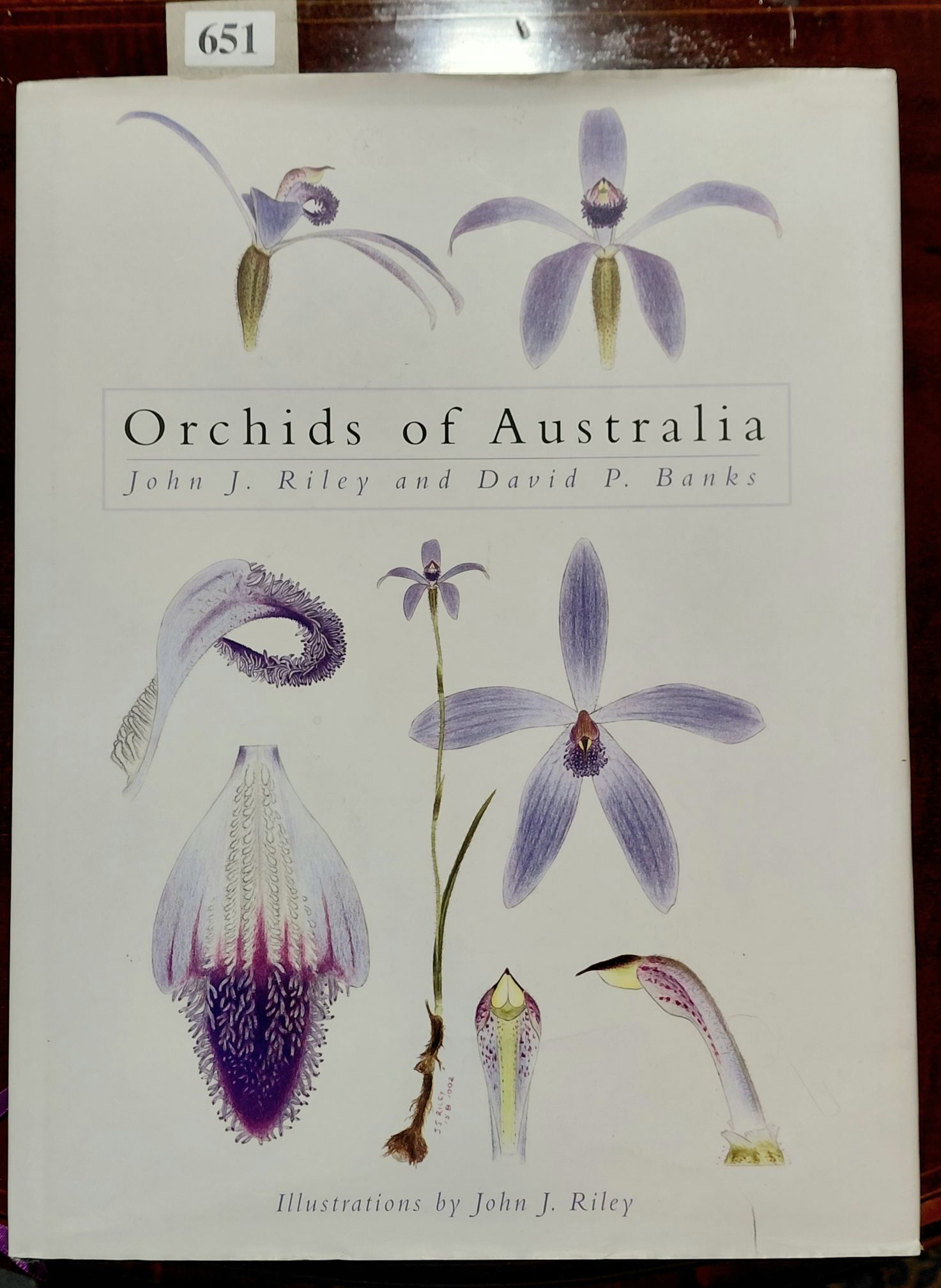 ORCHIDS OF AUSTRALIA
