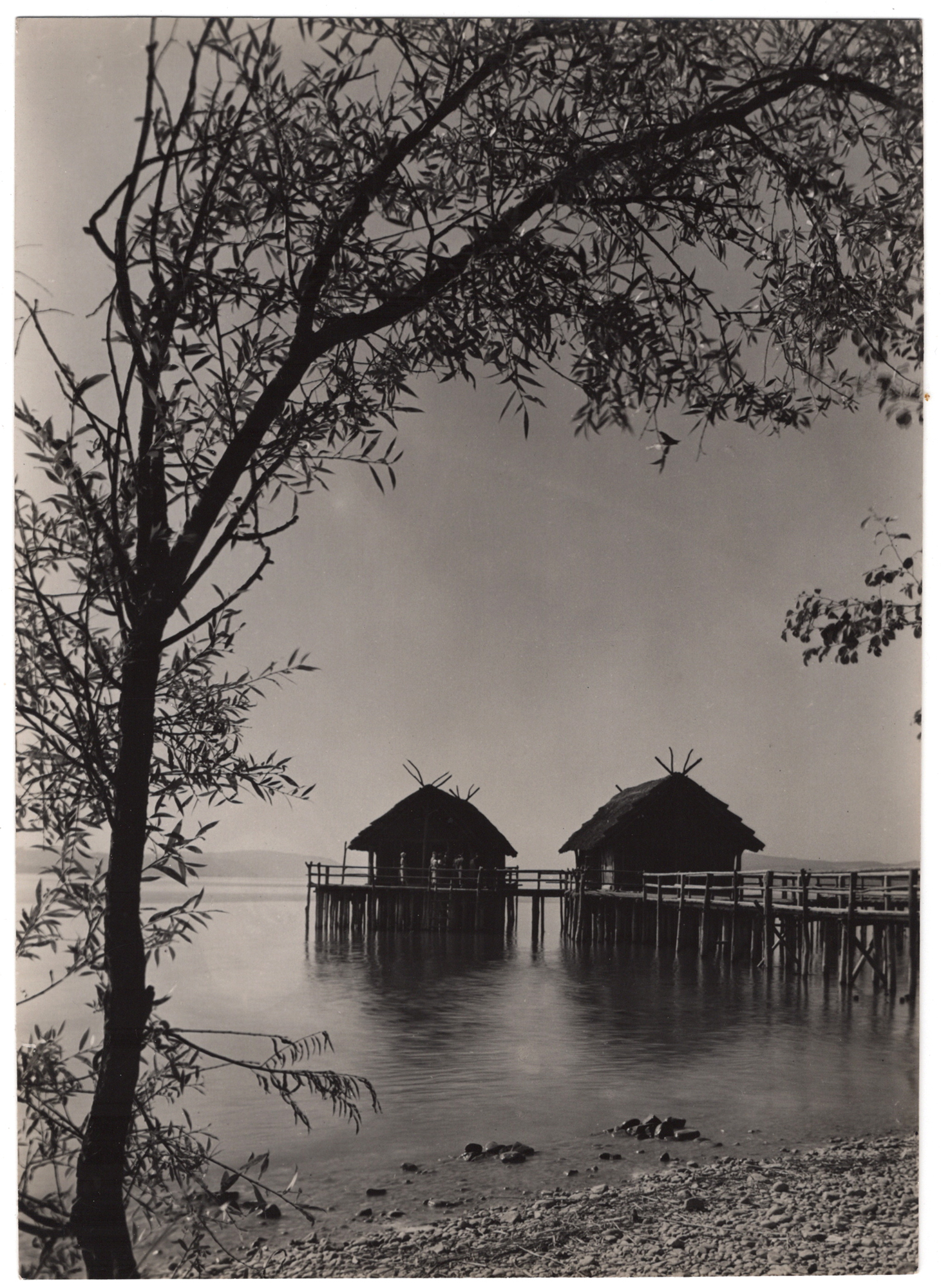 No cover image