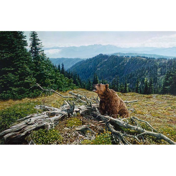 Richard Mravik (1973- ), King of the Mountain
