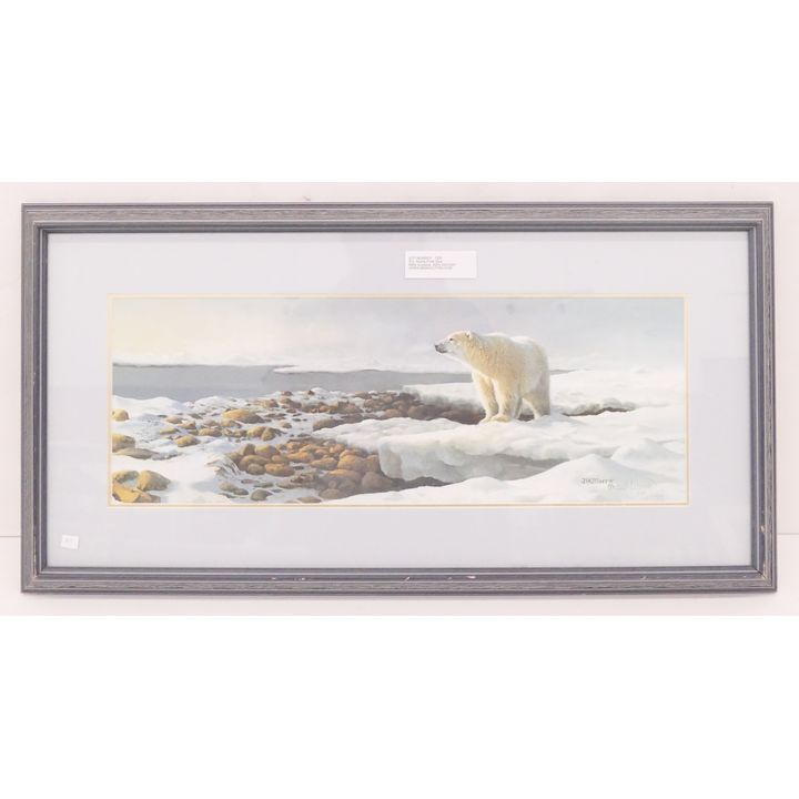 Bonnie Marris Polar Bear S/N Print- 15x28'' framed