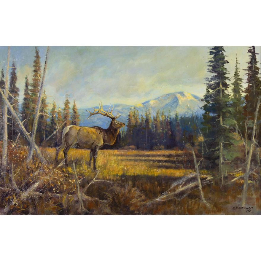 Robert F. Morgan (1929-2015): Exalted Ruler, 1964