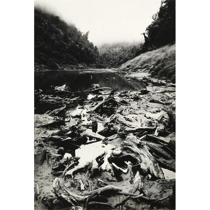 Anne Noble 'Whanganui River'