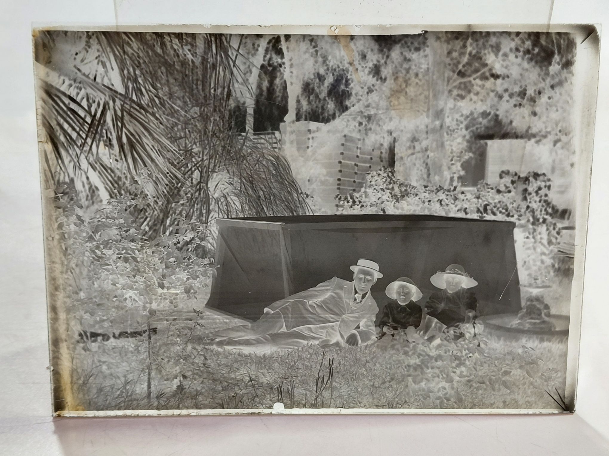 597 · GLASS NEGATIVES