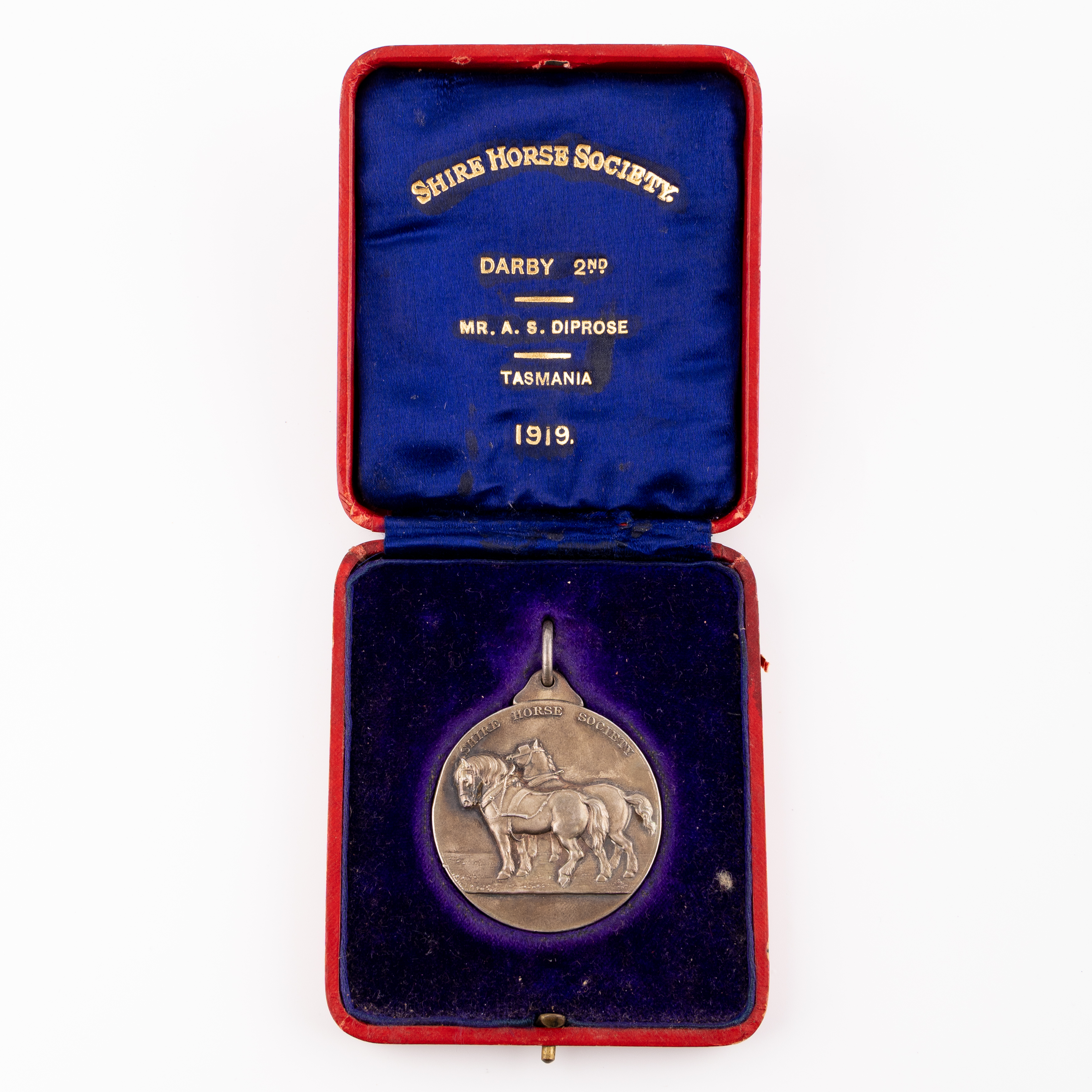 Tasmania Shire Horse Society, 1919, VF
