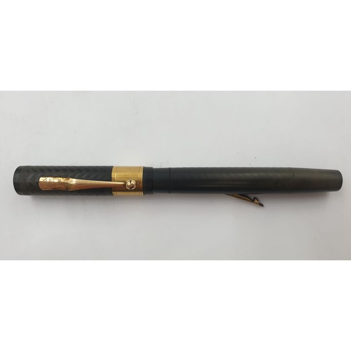 Swan Fountain Pen