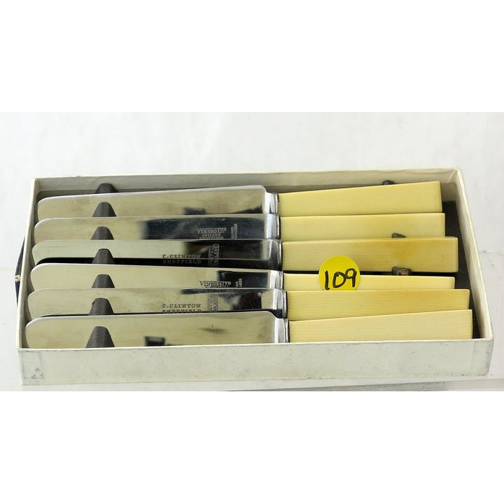 A BOXED SET OF 6 BONE HANDLED KNIVES.