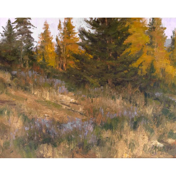 Transition to Evening by Matt Smith (1960- )