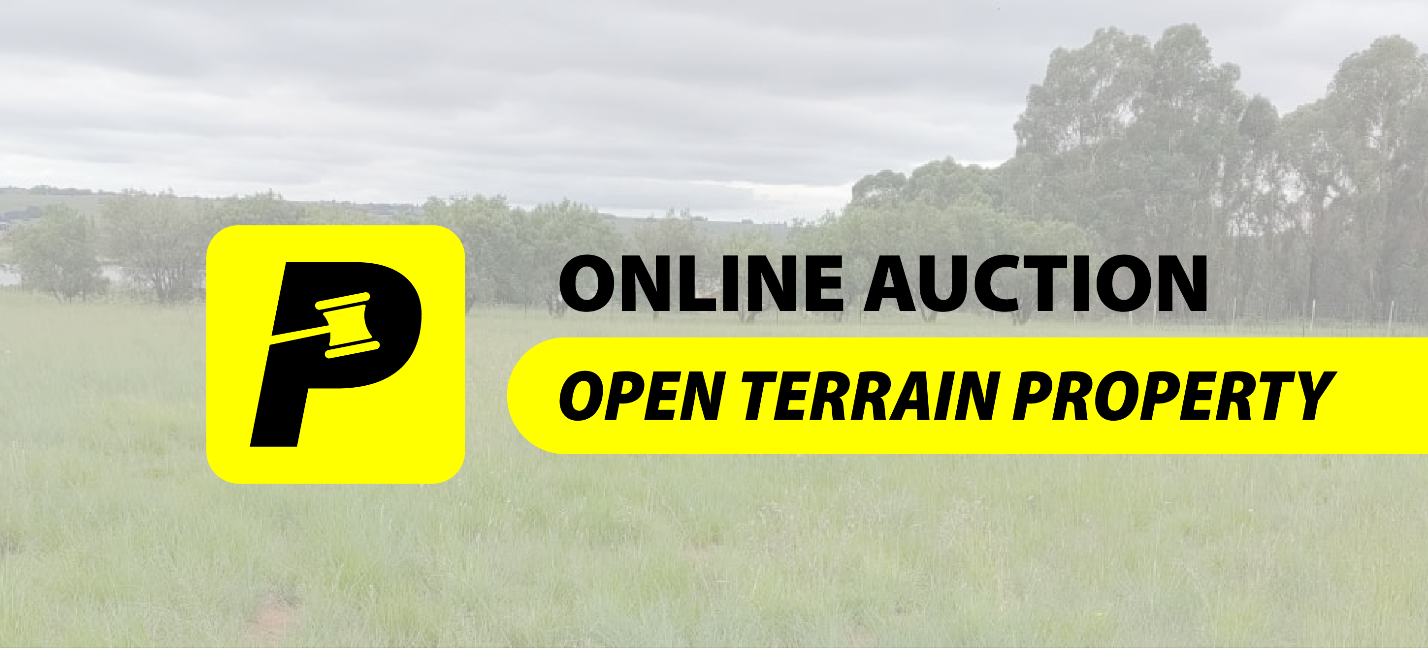 1 HECTARE OPEN LAND STAND - ONLINE AUCTION - EMALAHLENI, ZA | Panabid