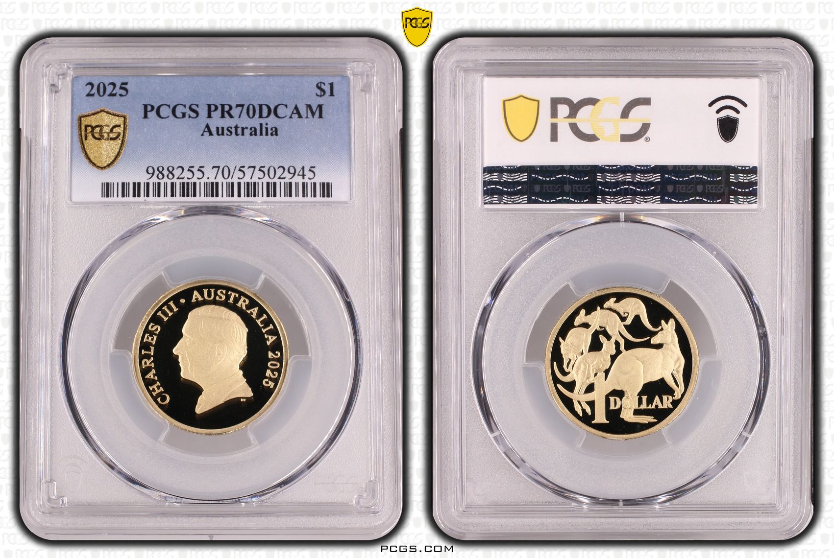 One Dollar, 2025, PR70DCAM