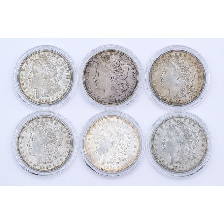 Box 6pc US 1921 Morgan Silver Dollars Cased