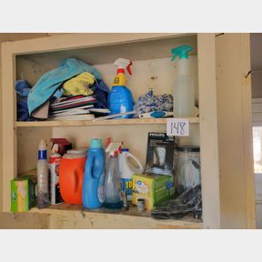 2 Shelves of laundry cleaners and misc. household